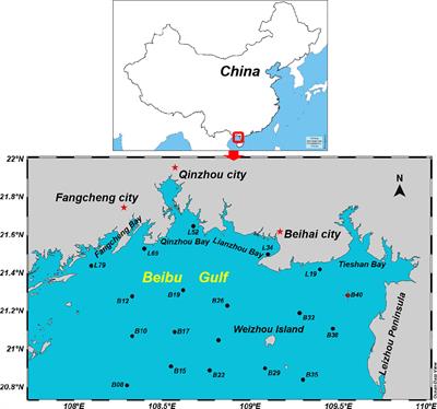 Contamination characteristics, spatial distribution and ecological-health risk assessment of legacy and current-use pesticides: a case study in the Beibu Gulf